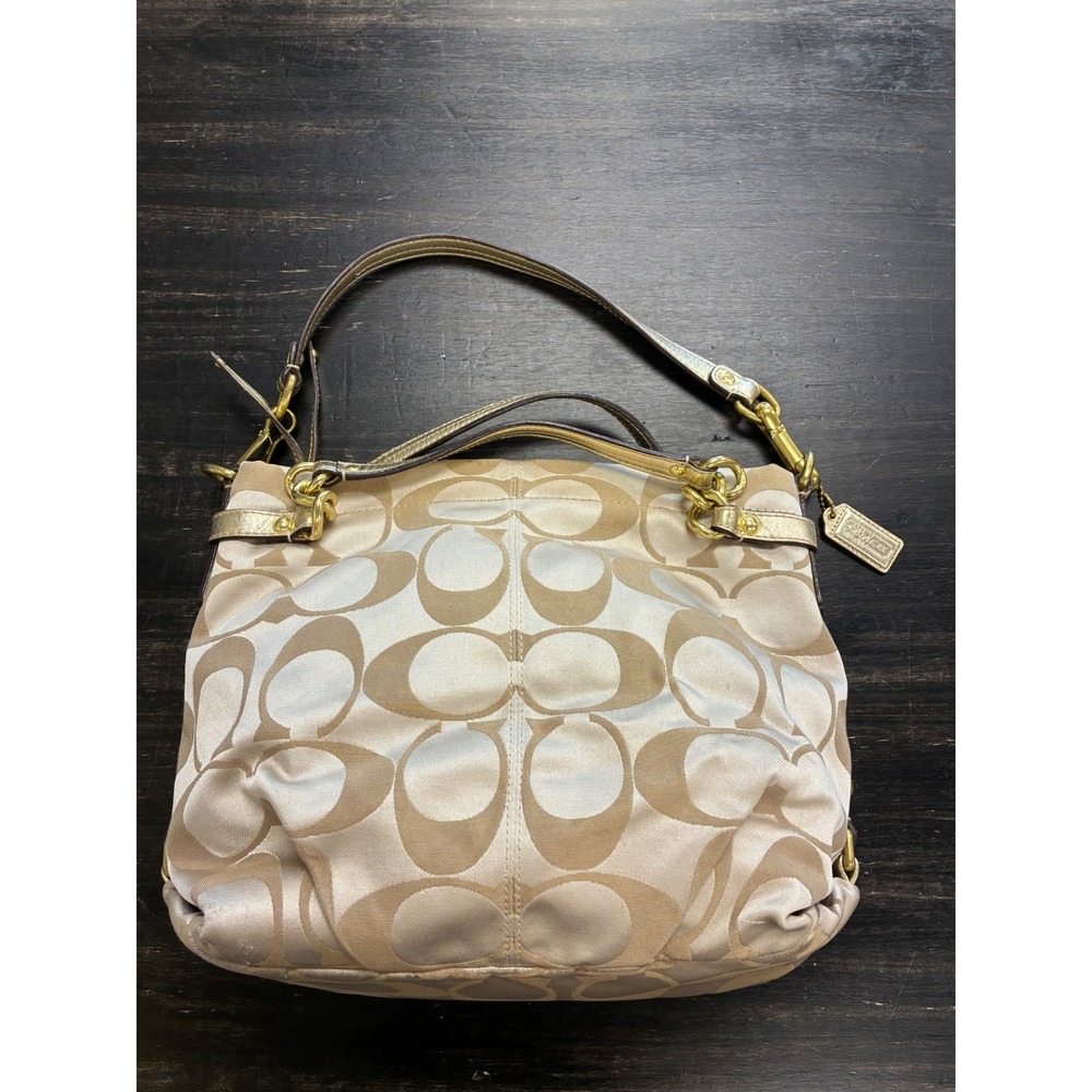 Coach Brooke Hobo Bag F17183